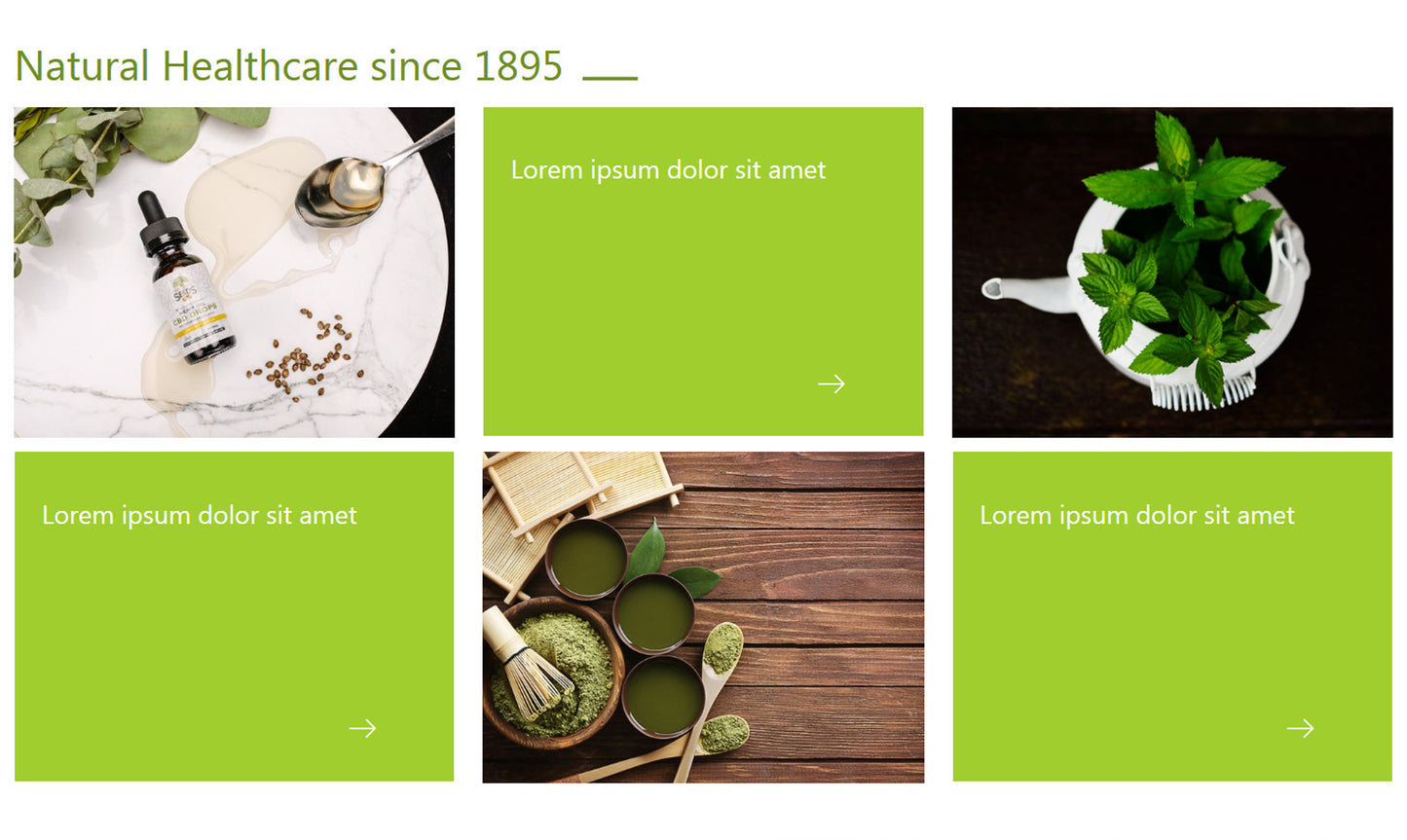 Dr.Sigmund - inSTUDIO43