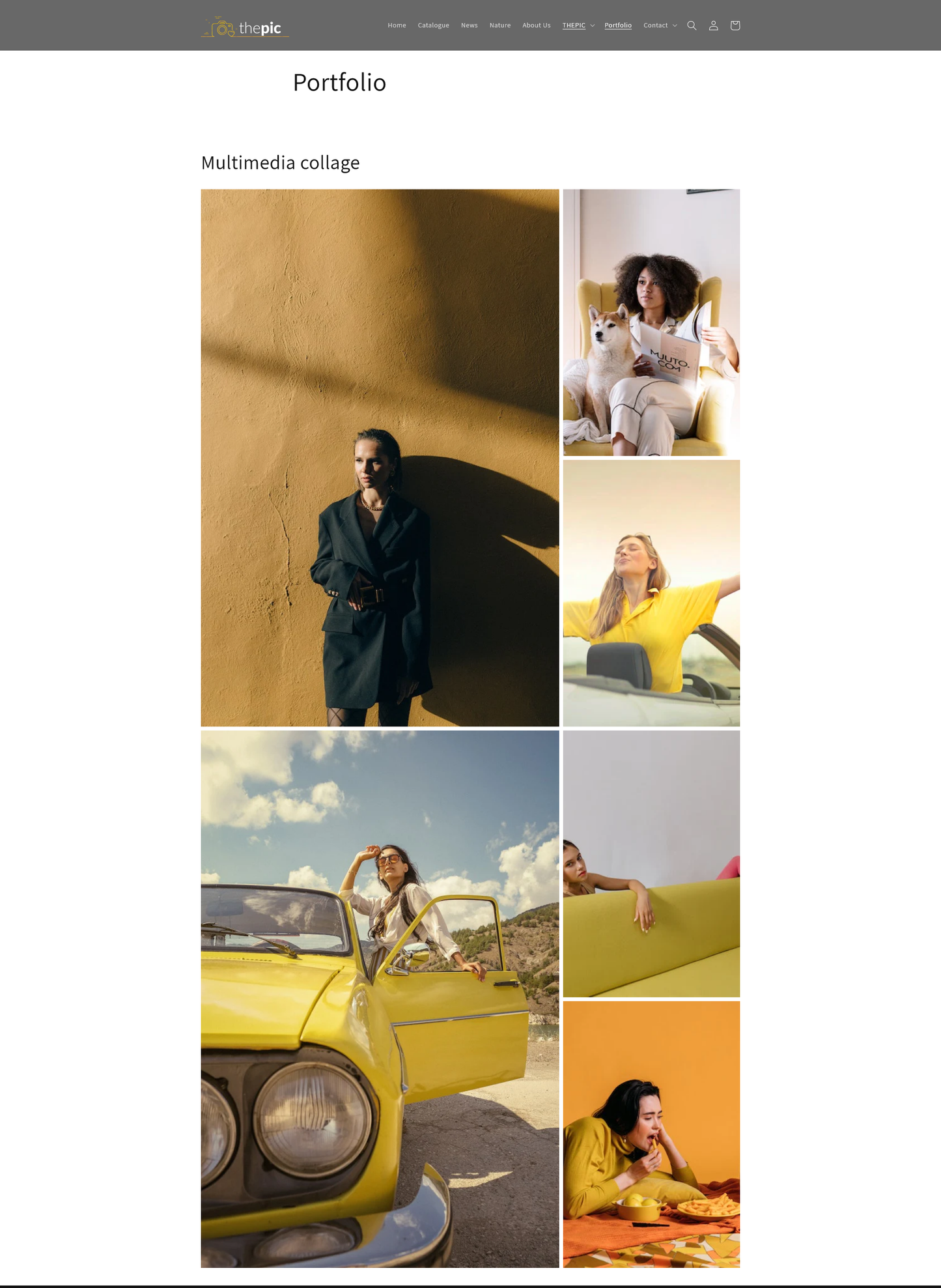 ThePiCeCO -Shopify Fashion Theme - inSTUDIO43