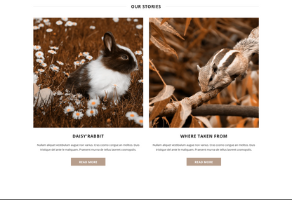 NUTRIMED - Shopify Template - inSTUDIO43