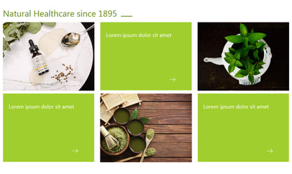 Dr.Sigmund - inSTUDIO43